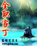 全职家丁阅读